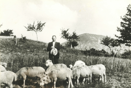 pastore e il suo gregge a Cornillo, fine anni'50