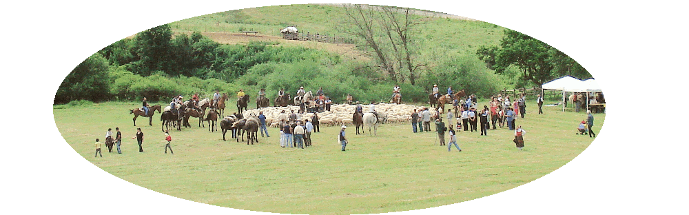 Sheep carousel at Cardito